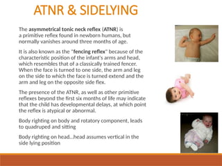 ATNR & SIDELYING
The asymmetrical tonic neck reflex (ATNR) is
a primitive reflex found in newborn humans, but
normally vanishes around three months of age.
It is also known as the "fencing reflex" because of the
characteristic position of the infant's arms and head,
which resembles that of a classically trained fencer.
When the face is turned to one side, the arm and leg
on the side to which the face is turned extend and the
arm and leg on the opposite side flex.
The presence of the ATNR, as well as other primitive
reflexes beyond the first six months of life may indicate
that the child has developmental delays, at which point
the reflex is atypical or abnormal.
Body righting on body and rotatory component, leads
to quadruped and sitting
Body righting on head…head assumes vertical in the
side lying position
 