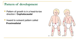 Pattern of development
 Pattern of growth is in a head-to-toe
direction / Cephalocaudal
 Inward to outward pattern called
Proximodistal
 