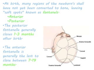 •At birth, many regions of the newborn's skull 
have not yet been converted to bone, leaving 
"soft spots" known as fontanels. 
•Anterior 
•Posterior 
•The posterior 
fontanelle generally 
closes 1-3 months 
after birth. 
•The anterior 
fontanelle is 
generally the last to 
close between 7-19 
months. 
 