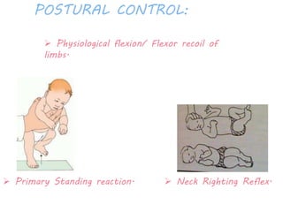 POSTURAL CONTROL: 
 Physiological flexion/ Flexor recoil of 
limbs. 
 Primary Standing reaction.  Neck Righting Reflex. 
 