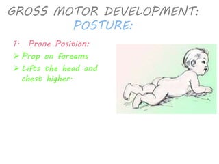 GROSS MOTOR DEVELOPMENT: 
POSTURE: 
1. Prone Position: 
 Prop on foreams 
 Lifts the head and 
chest higher. 
 