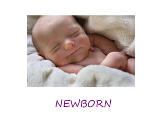 NEWBORN 
 