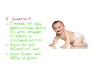 6. Quadruped: 
 7 month old baby 
symmetrically pushes 
the arms straight 
to assume a 
quadruped position. 
 Begins to rock 
forward and back 
 Loses balance and 
falling to prone. 
 
