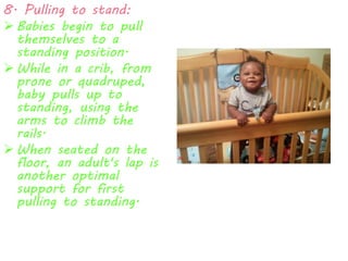 8. Pulling to stand: 
 Babies begin to pull 
themselves to a 
standing position. 
 While in a crib, from 
prone or quadruped, 
baby pulls up to 
standing, using the 
arms to climb the 
rails. 
 When seated on the 
floor, an adult's lap is 
another optimal 
support for first 
pulling to standing. 
 