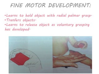 FINE MOTOR DEVELOPMENT: 
•Learns to hold object with radial palmar grasp. 
•Tranfers objects. 
•Learns to release object as voluntary grasping 
has developed. 
 