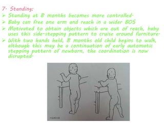 7. Standing: 
 Standing at 8 months becomes more controlled. 
 Baby can free one arm and reach in a wider BOS 
 Motivated to obtain objects which are out of reach, baby 
uses this side-stepping pattern to cruise around furniture. 
 With two hands held, 8 months old child begins to walk, 
although this may be a continuation of early automatic 
stepping pattern of newborn, the coordination is now 
disrupted. 
 