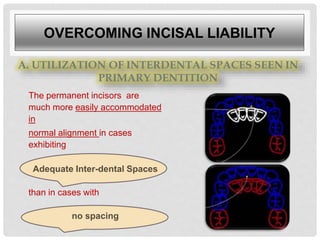 Normal development of occlusion part 1 | PPTX