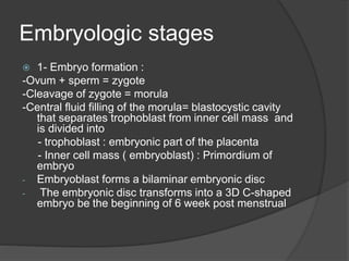 Embryologic stages
 1- Embryo formation :
-Ovum + sperm = zygote
-Cleavage of zygote = morula
-Central fluid filling of the morula= blastocystic cavity
that separates trophoblast from inner cell mass and
is divided into
- trophoblast : embryonic part of the placenta
- Inner cell mass ( embryoblast) : Primordium of
embryo
- Embryoblast forms a bilaminar embryonic disc
- The embryonic disc transforms into a 3D C-shaped
embryo be the beginning of 6 week post menstrual
 