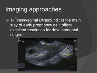 Imaging approaches
 1- Transvaginal ultrasound : is the main
stay of early pregnancy as it offers
excellent resolution for developmental
stages.
 