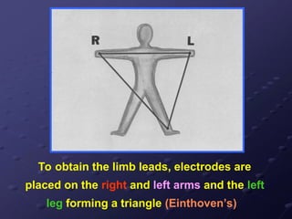 To obtain the limb leads, electrodes are
placed on the right and left arms and the left
leg forming a triangle (Einthoven’s)
 