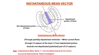 normal ecg dr rashmi.pptx