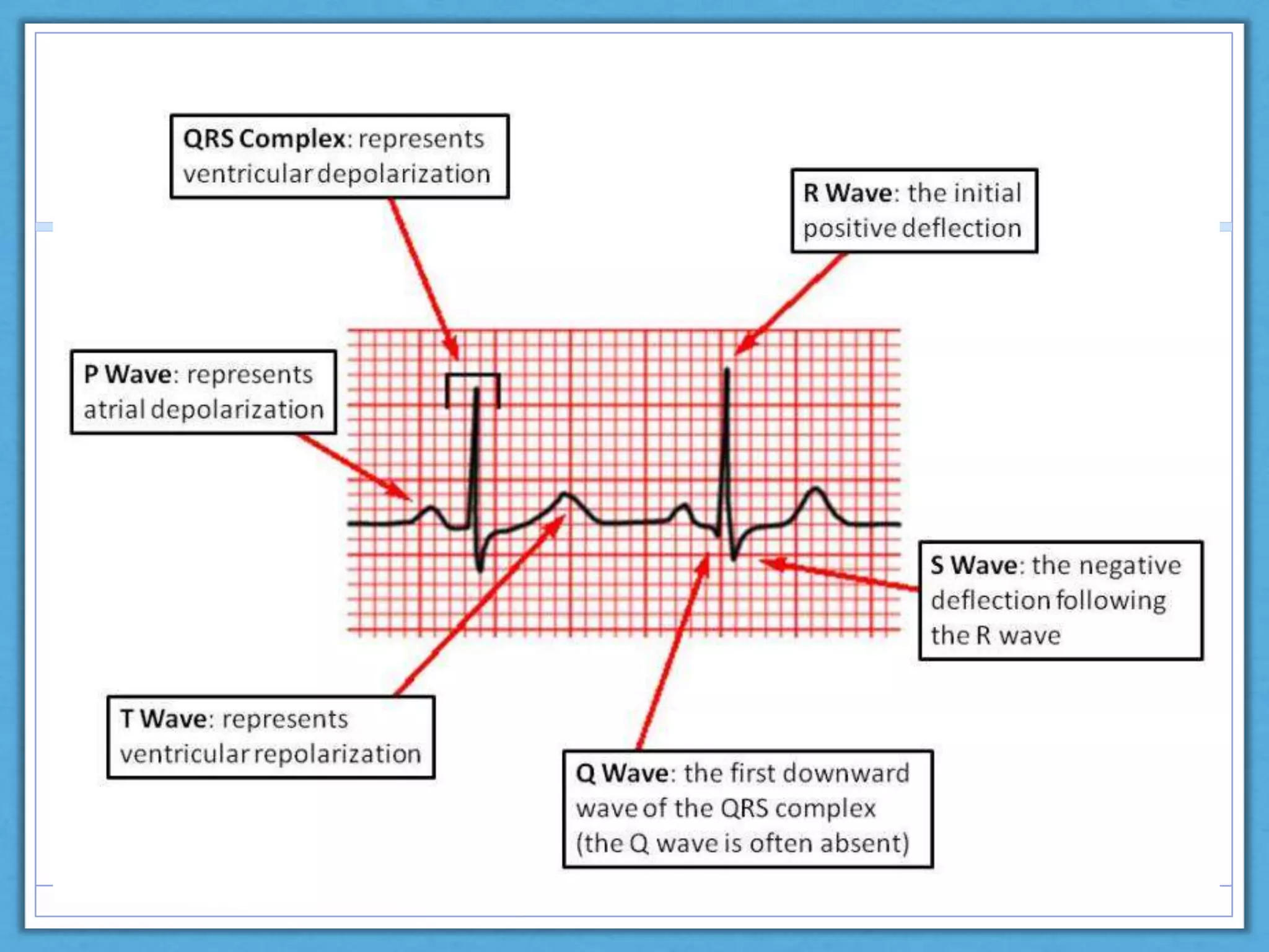 Normal ecg interpretation | PPTX