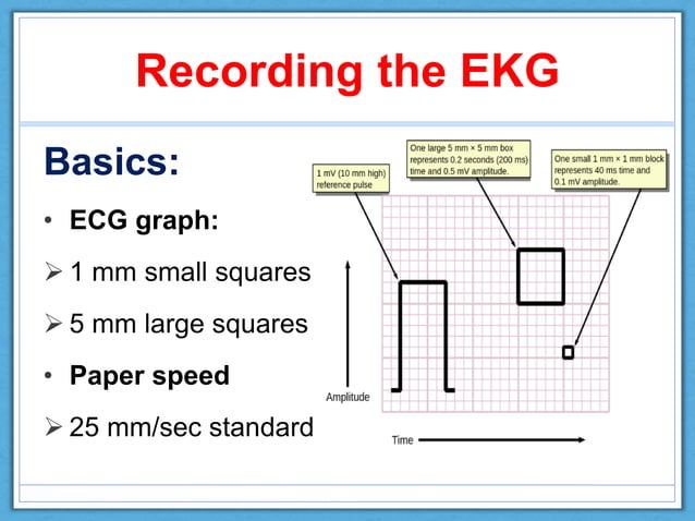 What Are The Normal Values For Ecg Measurements? – PUUYOC
