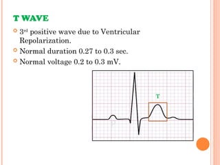 Normal Electrocardiogram Measurements.ppt