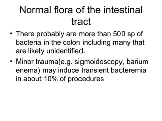 Normal flora | PPT