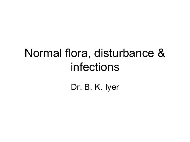 Normal Flora