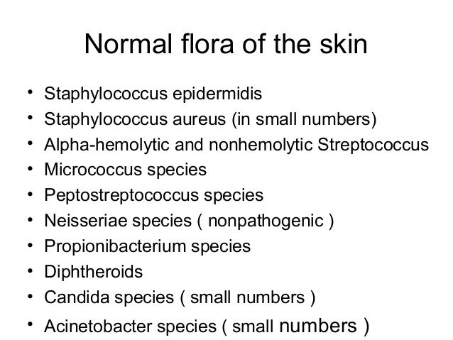 normal flora skin flora