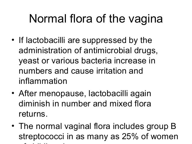 Normal Flora