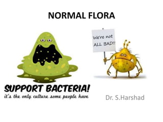 NORMAL FLORA
Dr. S.Harshad
 