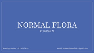 NORMAL FLORA
By Sikander Ali
WhatsApp number: +923369179410 Gmail: sikanderalisumalani11@gmail.com
 