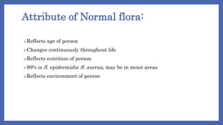 Normal flora | PPTX