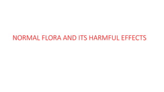 NORMAL FLORA AND ITS HARMFUL EFFECTS
 
