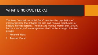 Flor Normal normal Flora.pdf