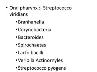 • Oral pharynx :- Streptococco
viridians
•Branhanella
•Corynebacteria
•Bacteroides
•Spirochaetes
•Lacfo bacilli
•Veriolla Actinornyles
•Streptococco pyogens
 