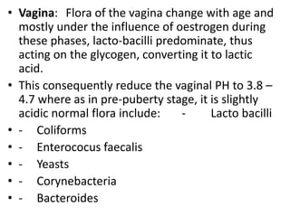• Vagina: Flora of the vagina change with age and
mostly under the influence of oestrogen during
these phases, lacto-bacilli predominate, thus
acting on the glycogen, converting it to lactic
acid.
• This consequently reduce the vaginal PH to 3.8 –
4.7 where as in pre-puberty stage, it is slightly
acidic normal flora include: - Lacto bacilli
• - Coliforms
• - Enterococus faecalis
• - Yeasts
• - Corynebacteria
• - Bacteroides
 