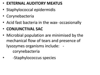 • EXTERNAL AUDITORY MEATUS
• Staphylococcal epidermidis
• Corynebacteria
• Acid fast bacteria in the wax- occasionally
• CONJUNCTIVAL SAC
• Microbial population are minimised by the
mechanical flow of tears and presence of
lysozymes organisms include: -
corynebacteria
• -Staphylococcus species
 