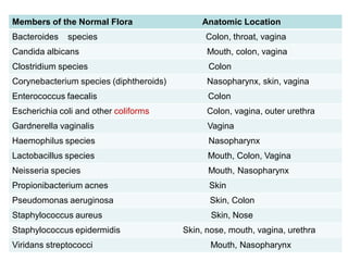 Normal Flora.pdfnfkmtbtotmbtktnfntjfktktntbt | PDF