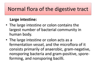 Normal flora of the digestive tract
Large intestine:
• The large intestine or colon contains the
largest number of bacterial community in
human body.
• The large intestine or colon acts as a
fermentation vessel, and the microflora of it
consists primarily of anaerobic, gram-negative,
nonsporing bacteria and gram-positive, spore-
forming, and nonsporing bacilli.
 