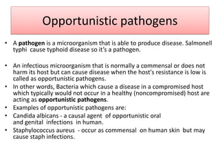 Opportunistic pathogens
• A pathogen is a microorganism that is able to produce disease. Salmonell
typhi cause typhoid disease so it’s a pathogen.
• An infectious microorganism that is normally a commensal or does not
harm its host but can cause disease when the host's resistance is low is
called as opportunistic pathogens.
• In other words, Bacteria which cause a disease in a compromised host
which typically would not occur in a healthy (noncompromised) host are
acting as opportunistic pathogens.
• Examples of opportunistic pathogens are:
• Candida albicans - a causal agent of opportunistic oral
and genital infections in human.
• Staphylococcus aureus - occur as commensal on human skin but may
cause staph infections.
 