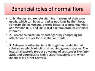Beneficial roles of normal flora
• 1. Synthesize and excrete vitamins in excess of their own
needs, which can be absorbed as nutrients by their host.
For example, in humans, enteric bacteria secrete Vitamin K
and Vitamin B12, and lactic acid bacteria produce certain B-
vitamins.
• 2. Prevent colonization by pathogens by competing for
attachment sites or for essential nutrients.
•
3. Antagonize other bacteria through the production of
substances which inhibit or kill nonindigenous species. The
intestinal bacteria produce a variety of substances like fatty
acids and peroxides to highly specific bacteriocins, which
inhibit or kill other bacteria.
 