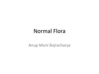 Normal Flora
Anup Muni Bajracharya
 