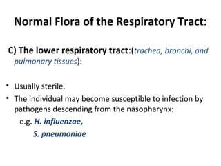 Normal Flora of the Respiratory Tract:
C) The lower respiratory tract:(trachea, bronchi, and
pulmonary tissues):
• Usually sterile.
• The individual may become susceptible to infection by
pathogens descending from the nasopharynx:
e.g. H. influenzae,
S. pneumoniae
 