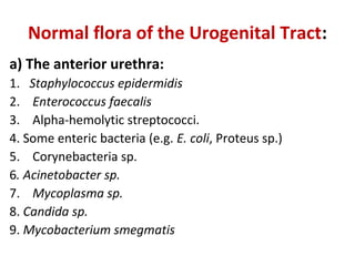 Normal flora of the Urogenital Tract:
a) The anterior urethra:
1. Staphylococcus epidermidis
2. Enterococcus faecalis
3. Alpha-hemolytic streptococci.
4. Some enteric bacteria (e.g. E. coli, Proteus sp.)
5. Corynebacteria sp.
6. Acinetobacter sp.
7. Mycoplasma sp.
8. Candida sp.
9. Mycobacterium smegmatis
 