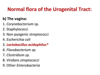 Normal flora of the Urogenital Tract:
b) The vagina:
1. Corynebacterium sp.
2. Staphylococci
3. Non-pyogenic streptococci
4. Escherichia coli
5. Lactobacillus acidophilus*
6. Flavobacterium sp.
7. Clostridium sp.
8. Viridans streptococci
9. Other Enterobacteria
 