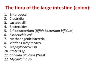 The flora of the large intestine (colon):
1. Enterococci
2. Clostridia
3. Lactobacilli
4. Bacteroides
5. Bifidobacterium (Bifidobacterium bifidum)
6. Escherichia coli
7. Methanogenic bacteria
8. Viridans streptococci
9. Staphylococcus sp.
10. Proteus sp.
11. Candida albicans (Yeast)
12. Mycoplama sp.
 