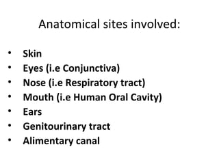 Anatomical sites involved:
• Skin
• Eyes (i.e Conjunctiva)
• Nose (i.e Respiratory tract)
• Mouth (i.e Human Oral Cavity)
• Ears
• Genitourinary tract
• Alimentary canal
 