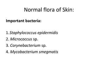 Normal flora of Skin:
Important bacteria:
1.Staphylococcus epidermidis
2. Micrococcus sp.
3. Corynebacterium sp.
4. Mycobacterium smegmatis
 