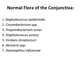 Normal Flora of the Conjunctiva:
1. Staphylococcus epidermidis
2. Corynebacterium spp.
3. Propoinibacterium acnes
4. Staphylococcus aureus
5. Viridans streptococci
6. Neisseria spp.
7. Haemophilus influenzae
 