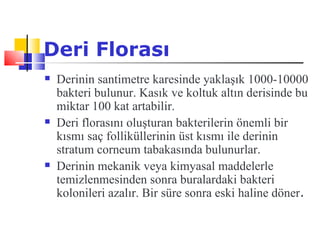 Deri Florası
   Derinin santimetre karesinde yaklaşık 1000-10000
    bakteri bulunur. Kasık ve koltuk altın derisinde bu
    miktar 100 kat artabilir.
   Deri florasını oluşturan bakterilerin önemli bir
    kısmı saç folliküllerinin üst kısmı ile derinin
    stratum corneum tabakasında bulunurlar.
   Derinin mekanik veya kimyasal maddelerle
    temizlenmesinden sonra buralardaki bakteri
    kolonileri azalır. Bir süre sonra eski haline döner.
 