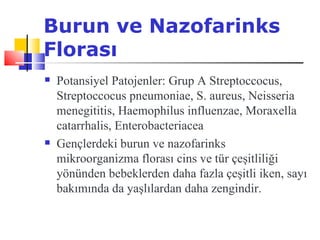 Burun ve Nazofarinks
Florası
   Potansiyel Patojenler: Grup A Streptoccocus,
    Streptoccocus pneumoniae, S. aureus, Neisseria
    menegititis, Haemophilus influenzae, Moraxella
    catarrhalis, Enterobacteriacea
   Gençlerdeki burun ve nazofarinks
    mikroorganizma florası cins ve tür çeşitliliği
    yönünden bebeklerden daha fazla çeşitli iken, sayı
    bakımında da yaşlılardan daha zengindir.
 