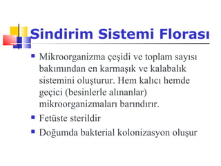 Sindirim Sistemi Florası
   Mikroorganizma çeşidi ve toplam sayısı
    bakımından en karmaşık ve kalabalık
    sistemini oluşturur. Hem kalıcı hemde
    geçici (besinlerle alınanlar)
    mikroorganizmaları barındırır.
   Fetüste sterildir
   Doğumda bakterial kolonizasyon oluşur
 