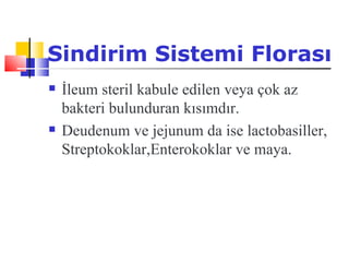 Sindirim Sistemi Florası
   İleum steril kabule edilen veya çok az
    bakteri bulunduran kısımdır.
   Deudenum ve jejunum da ise lactobasiller,
    Streptokoklar,Enterokoklar ve maya.

     
 