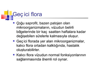 Geç ici flora
   Çoğu saprofit, bazen patojen olan
    mikroorganizmaların, vü    cudun belirli
    bölgelerinde bir kaç saatten haftalara kadar
    değişebilen sü  relerle kalmasıyla oluşur.
   Geç ici florada yer alan mikroorganizmalar,
    kalıcı flora ortadan kalktığında, hastalık
    oluşturabilirler.
   Kalıcı flora vücudun normal fonksiyonlarının
    sağlanmasında ö    nemli rol oynar.
 