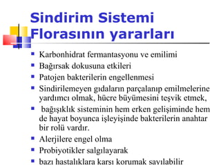 Sindirim Sistemi
Florasının yararları
   Karbonhidrat fermantasyonu ve emilimi
   Bağırsak dokusuna etkileri
   Patojen bakterilerin engellenmesi
   Sindirilemeyen gıdaların parçalanıp emilmelerine
    yardımcı olmak, hücre büyümesini teşvik etmek,
   bağışıklık sisteminin hem erken gelişiminde hem
    de hayat boyunca işleyişinde bakterilerin anahtar
    bir rolü vardır.
   Alerjilere engel olma
   Probiyotikler salgılayarak
   bazı hastalıklara karşı korumak sayılabilir
 