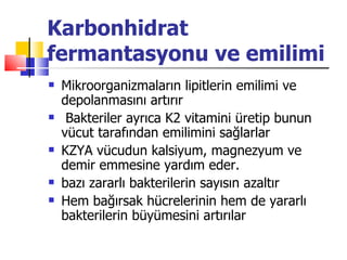 Karbonhidrat
fermantasyonu ve emilimi
   Mikroorganizmaların lipitlerin emilimi ve
    depolanmasını artırır
    Bakteriler ayrıca K2 vitamini üretip bunun
    vücut tarafından emilimini sağlarlar
   KZYA vücudun kalsiyum, magnezyum ve
    demir emmesine yardım eder.
   bazı zararlı bakterilerin sayısın azaltır
   Hem bağırsak hücrelerinin hem de yararlı
    bakterilerin büyümesini artırılar
 