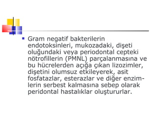    Gram negatif bakterilerin
    endotoksinleri, mukozadaki, dişeti
    oluğundaki veya periodontal cepteki
    nötrofillerin (PMNL) parçalanmasına ve
    bu hücrelerden açığa çıkan lizozimler,
    dişetini olumsuz etkileyerek, asit
    fosfatazlar, esterazlar ve diğer enzim­
    lerin serbest kalmasına sebep olarak
    peridontal hastalıklar oluştururlar.
 